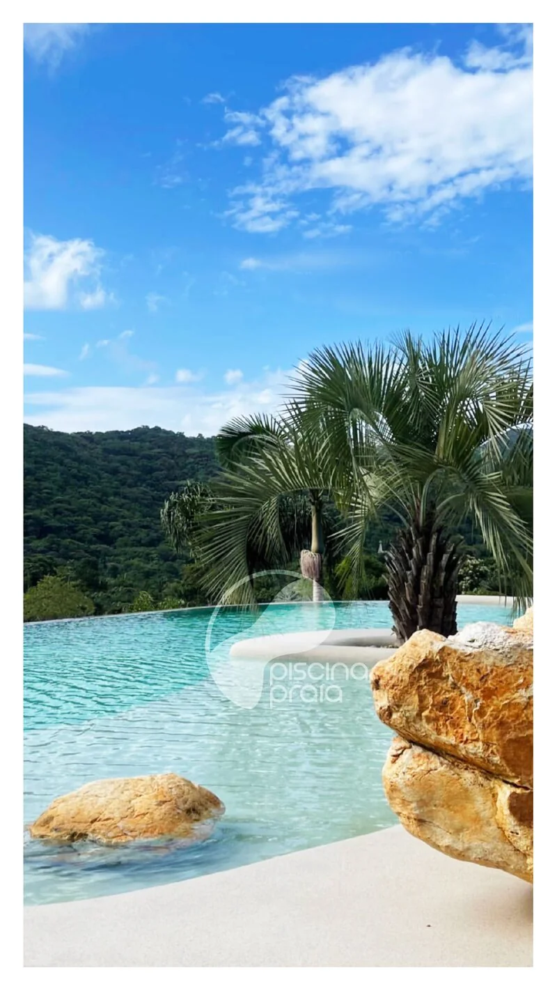 Piscina de borda infinita com coqueiro sobre ilha de rochas e vista da mata